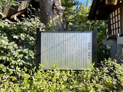 阿佐ヶ谷神明宮(東京都)
