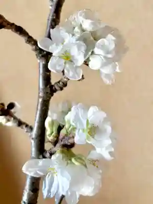 蚊里田八幡宮(長野県)