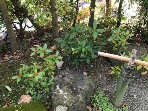 浄妙寺のその他建物