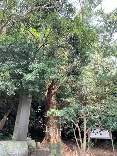 鎌数伊勢大神宮(千葉県)