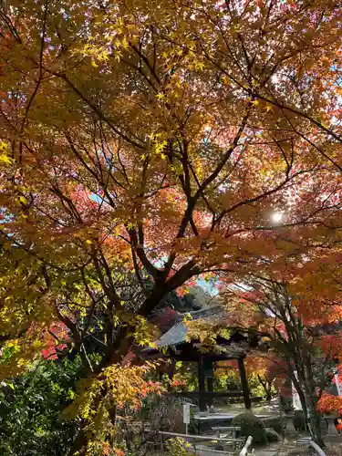 神應寺(京都府)