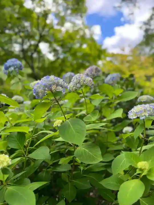 陽林寺(福島県)