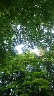 諏訪神社(鳥取県)