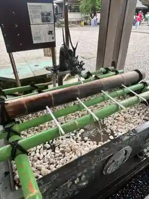 宇都宮二荒山神社(栃木県)