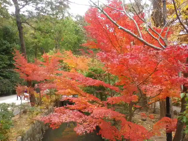 鶴岡八幡宮の自然