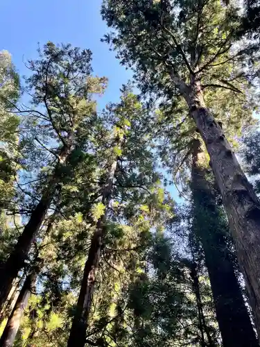 伊野天照皇大神宮(福岡県)