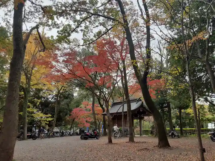 深大寺(東京都)