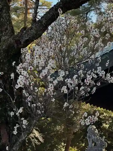 群馬県護国神社(群馬県)