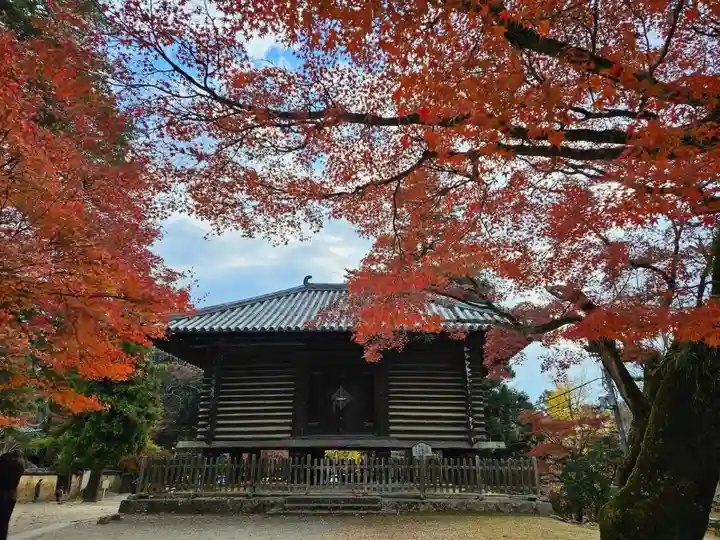 東大寺(奈良県)