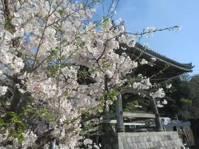 光明寺のその他建物