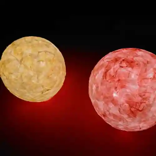 壽徳寺 じゅとくじの芸術