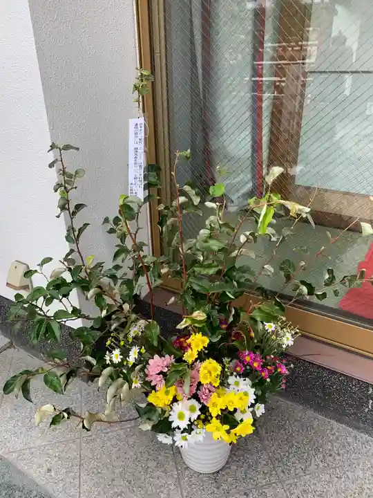 市比賣神社の自然