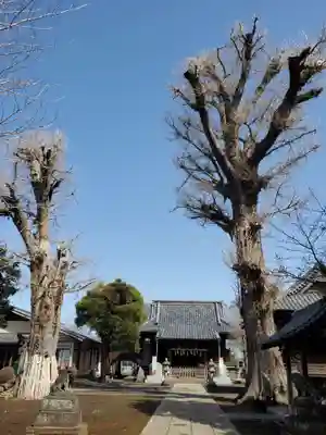 諏訪神社のその他建物