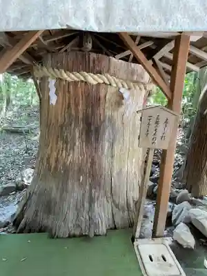 大神神社(奈良県)