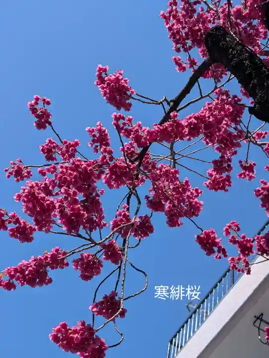 海徳寺(東京都)