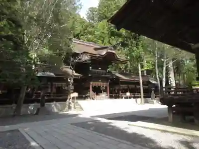 諏訪大社下社秋宮の本殿・本堂