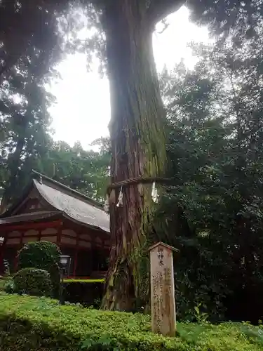 香取神宮の自然