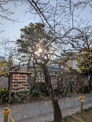 鳩森八幡神社(東京都)