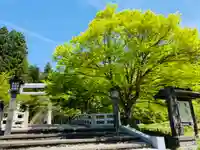 土津神社|こどもと出世の神さまの自然