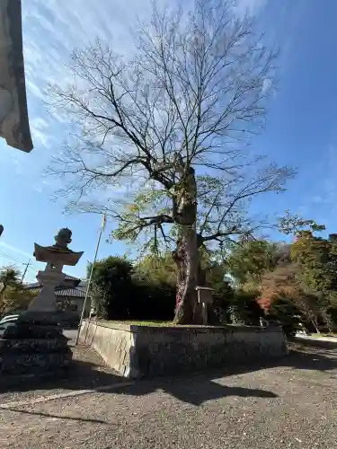中山神社(岡山県)