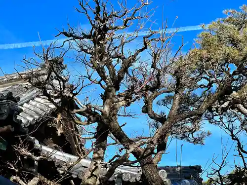 良性院(長野県)