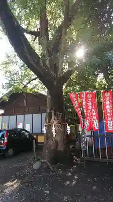 笠䅣稲荷神社のその他建物
