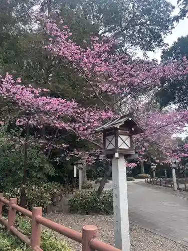 櫻木神社の{uncategorized: "未分類", other: "その他", undefined: "問題あり", building: "その他建物", grave: "お墓", sacred_gate: "鳥居", guardian: "狛犬", statue: "像", buddha: "仏像", history: "歴史", nature: "自然", garden: "庭園", animal: "動物", pagoda: "塔", temizu: "手水舎", mountain_gate: "山門・神門", sanctuary: "本殿・本堂", subordinate: "末社・摂社", art: "芸術", scenery: "景色", jizo: "地蔵", ema: "絵馬", goshuin: "御朱印", omikuji: "おみくじ", items: "授与品その他", amulet: "お守り", goshuincho: "御朱印帳", eats: "食事", festival: "お祭り", votive_dance: "神楽", shichigosan: "七五三参", wedding: "結婚式", experience: "体験その他", initially: "初詣", around: "周辺", anti_infection: "感染症対策"}