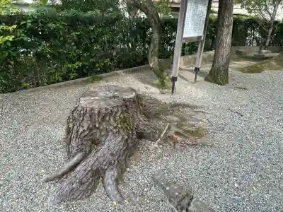 九頭大明神(大阪府)