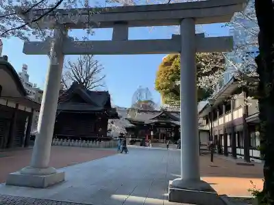 明治神宮の鳥居