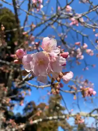 笠森寺(千葉県)