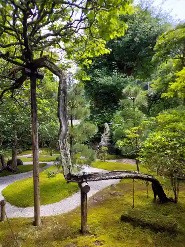 報国寺の庭園