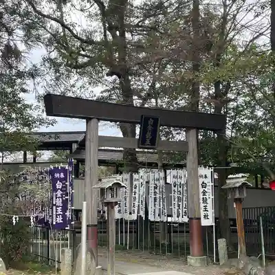白金龍王社(愛知県)