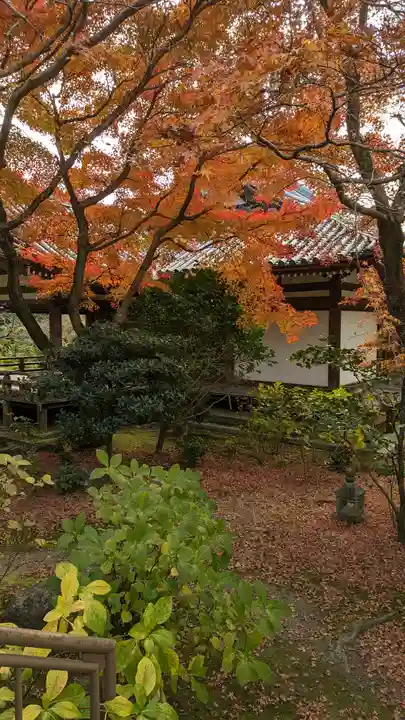 法金剛院(京都府)
