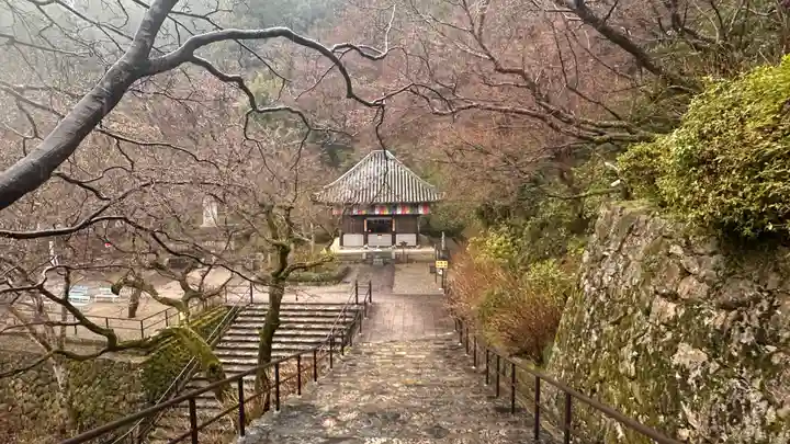 長谷寺(奈良県)