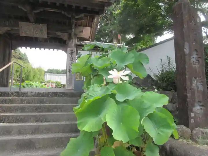 香勝寺(静岡県)