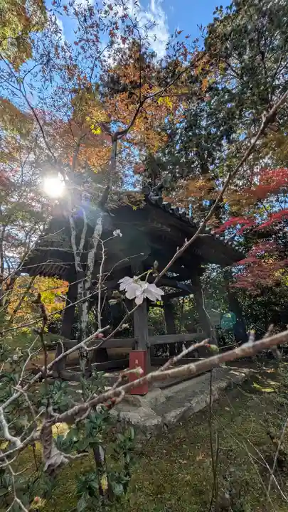 十輪寺(京都府)