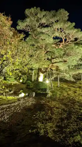 妙顯寺（妙顕寺）(京都府)