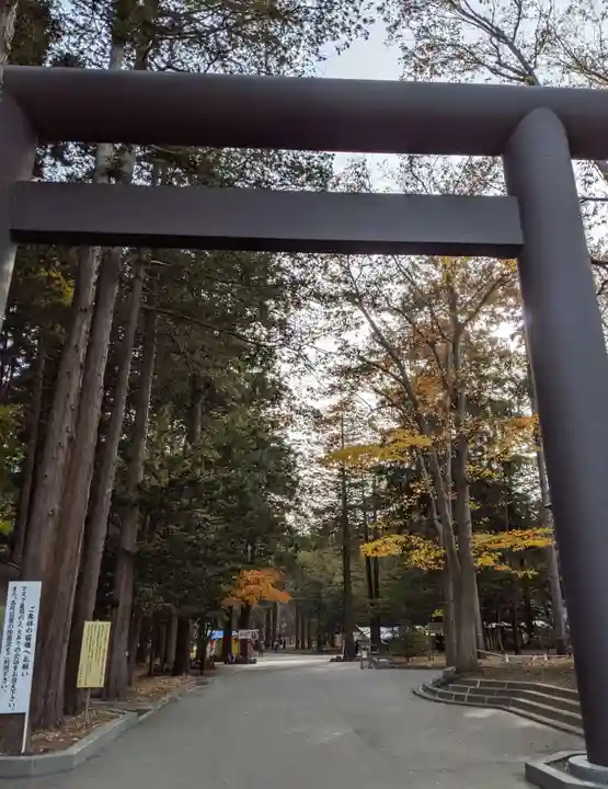 北海道神宮の鳥居