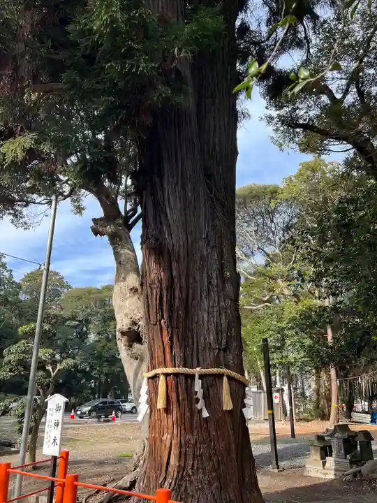 息栖神社(茨城県)