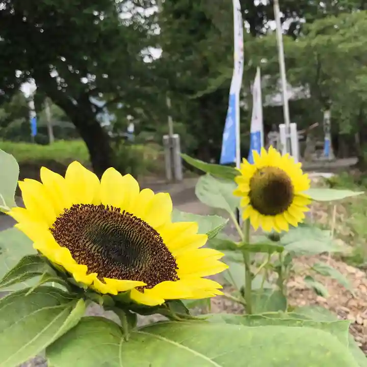 高司神社〜むすびの神の鎮まる社〜の自然