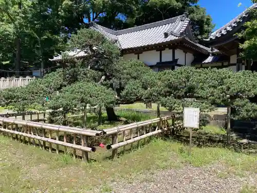 玉前神社(千葉県)