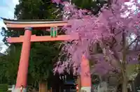 河口浅間神社の鳥居