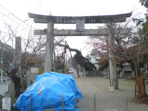 高野神社の鳥居