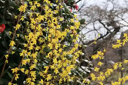 長屋神社の自然