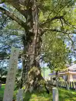 磯宮八幡神社(兵庫県)