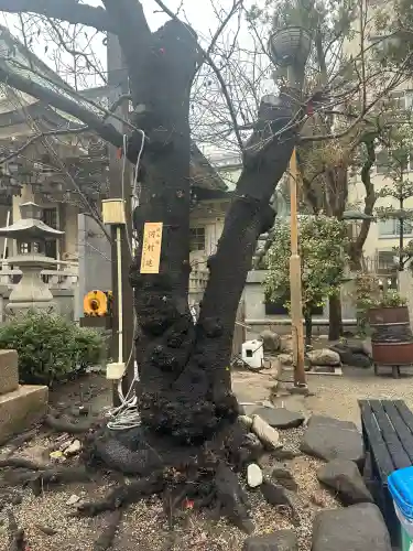 難波八阪神社の{uncategorized: "未分類", other: "その他", undefined: "問題あり", building: "その他建物", grave: "お墓", sacred_gate: "鳥居", guardian: "狛犬", statue: "像", buddha: "仏像", history: "歴史", nature: "自然", garden: "庭園", animal: "動物", pagoda: "塔", temizu: "手水舎", mountain_gate: "山門・神門", sanctuary: "本殿・本堂", subordinate: "末社・摂社", art: "芸術", scenery: "景色", jizo: "地蔵", ema: "絵馬", goshuin: "御朱印", omikuji: "おみくじ", items: "授与品その他", amulet: "お守り", goshuincho: "御朱印帳", eats: "食事", festival: "お祭り", votive_dance: "神楽", shichigosan: "七五三参", wedding: "結婚式", experience: "体験その他", initially: "初詣", around: "周辺", anti_infection: "感染症対策"}