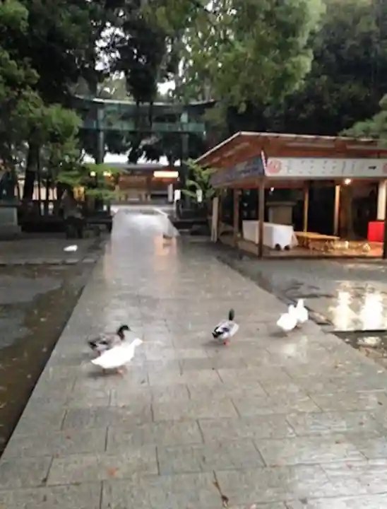 平塚八幡宮(神奈川県)