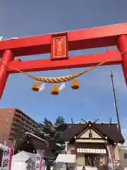 新川皇大神社の初詣