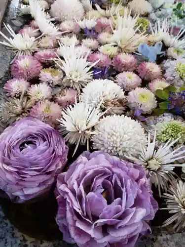 高円寺氷川神社の手水舎