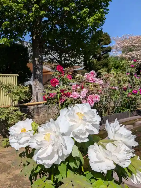 禅定院(東京都)